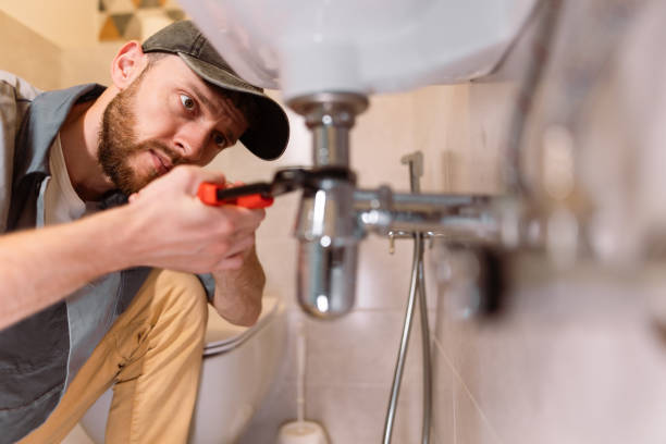 Best Commercial Plumbing Services  in Oak Grove, MN